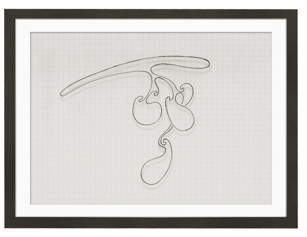 Bleistiftzeichnung, dig. bearbeitet, Dig.-Druck; 40 x 30 cm; (2001) 2025