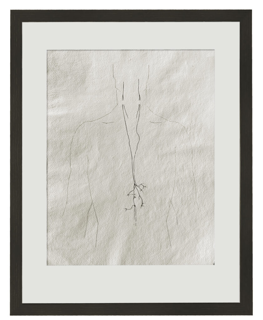 Zeichnung; Tusche, Bleistift; Büttenpapier; 42 x 30 cm; 2026