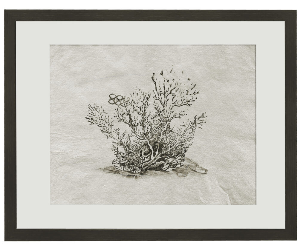 Zeichnung; Tusche, Bleistift; Büttenpapier; 42 x 30 cm; 2026