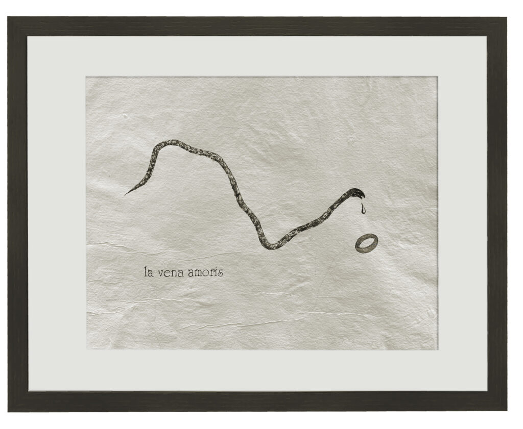 Zeichnung; Tusche, Bleistift; Büttenpapier; 42 x 30 cm; 2026