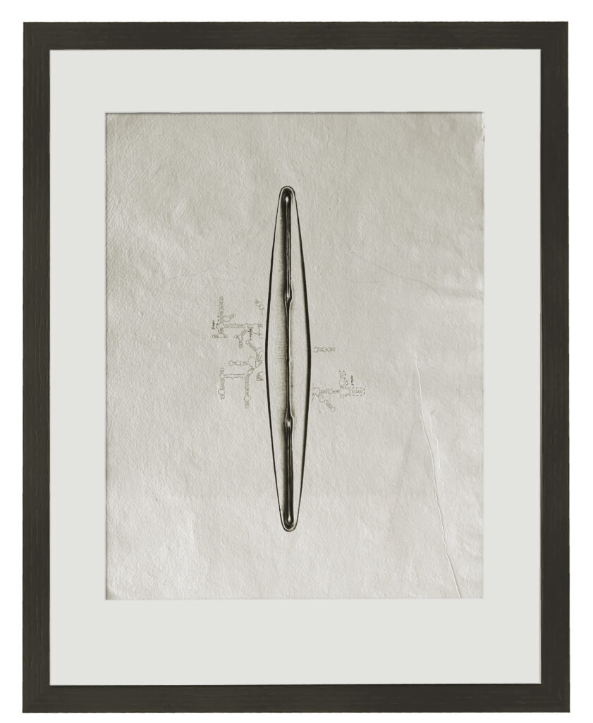 Zeichnung; Tusche, Bleistift; Büttenpapier; 42 x 30 cm; 2026